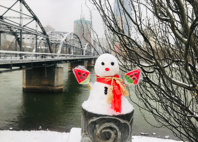 漫步黄河之滨幽静的小路