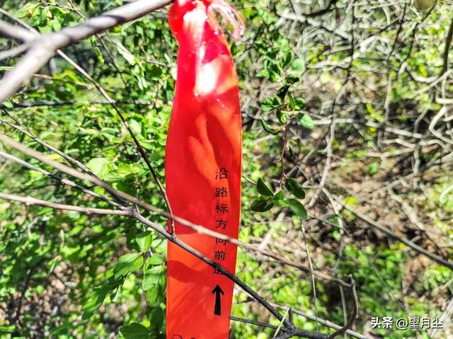 《太行山徒步记：从西走到南》免费的挂壁公路，悠悠然的崖边行走