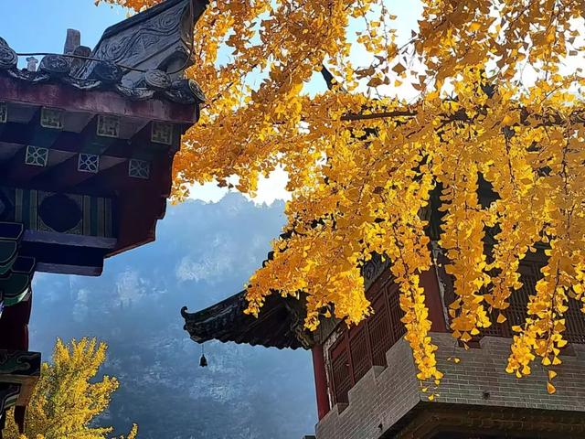 巩义青龙山的秋天美成壁纸,随手一拍都是大片!