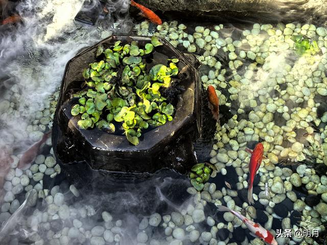 济南哪里最江南？