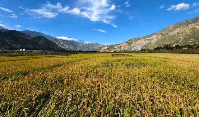 武都秋韵：一城诗意染山河