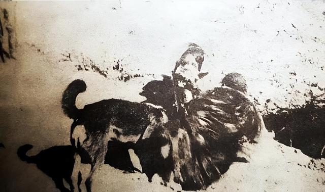 1938年，一个姑娘被抓进狼窝，日本兵犯下禽兽暴行