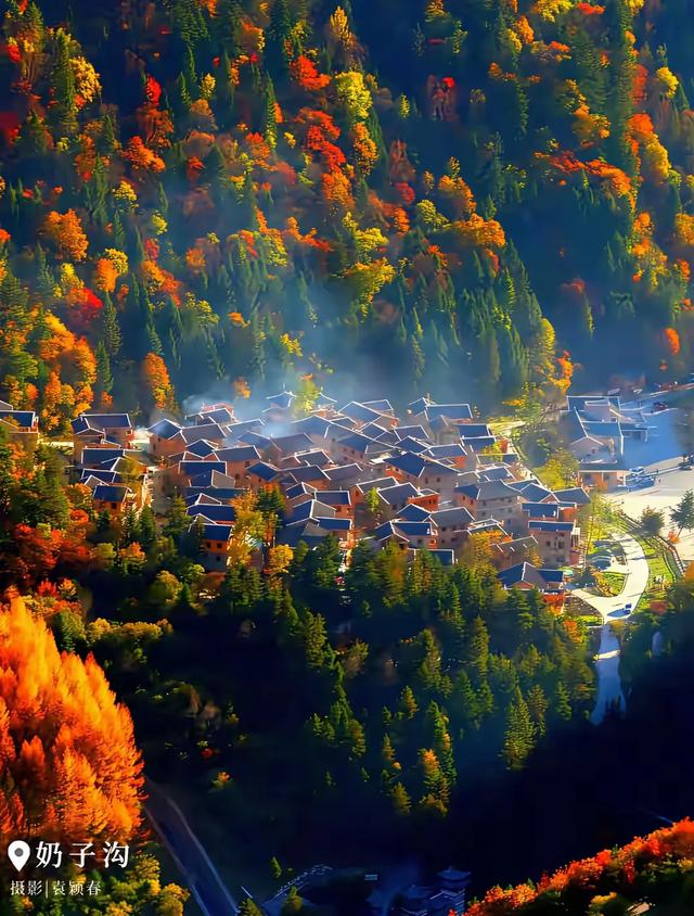 手机壁纸精美图片(162)