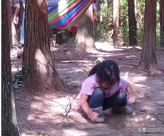 利川避暑山庄苏马荡树林下人们活动剪辑 老人安享晚年 小孩亲近自然