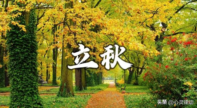 “上午立秋是空秋，下午立秋是水秋”，今年立秋在哪儿？答案来了