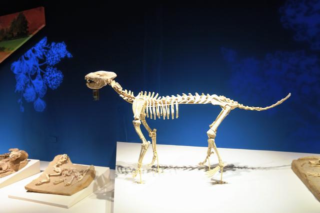 兰州黄河楼，被誉为“万里黄河第一楼”，在楼中还藏着众多博物馆