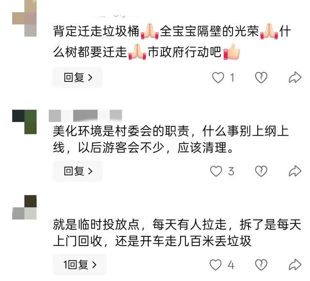 迈合村这事，新鲜！全村投票为全红婵家“让路”，她家反倒先摆手