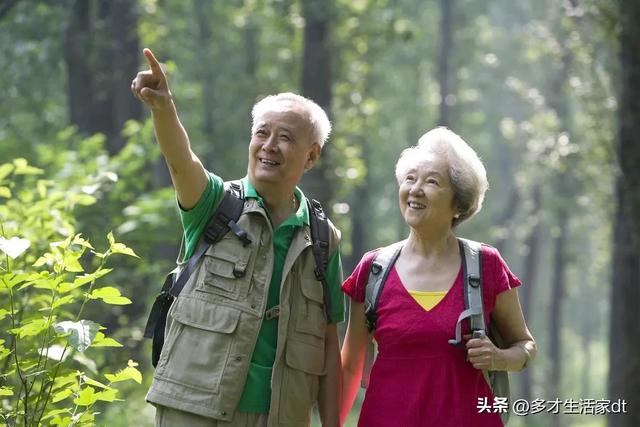 李富贵带老人去旅游