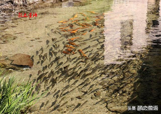 天台山脉精华：石梁镇全域游