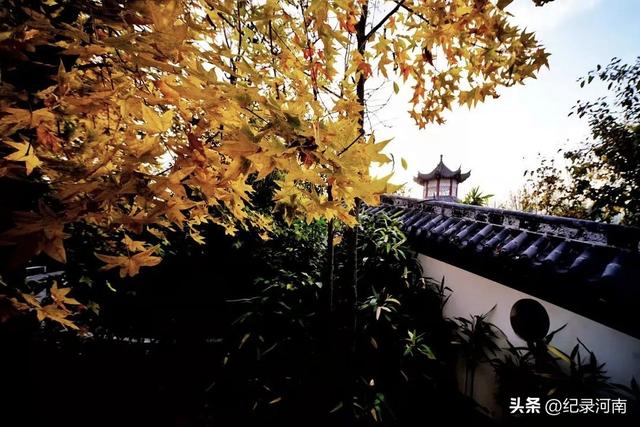 国庆节旅游黄金周足不出“柘”，邂逅秋日浪漫