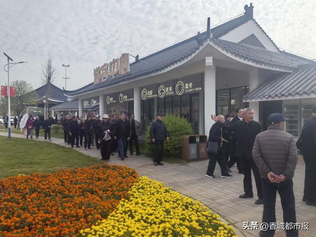 岁岁重阳，情暖湿地：千名退休老人的向阳湖秋日之约