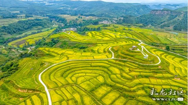 旅居云南·昆明好在（十二）山美水美物美，宜居宜游宜良