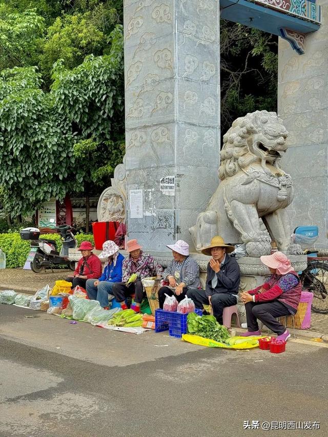滇池畔小众村落：杨林港——观音山——百草村一日游！