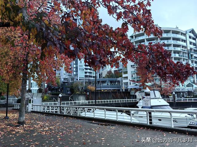 温哥华游记（六）