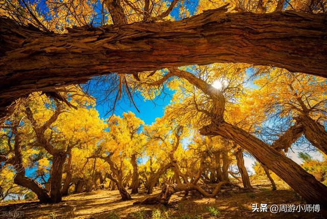 2025年赏秋去哪里？国内10条精华赏秋路线自驾地图攻略集合分享