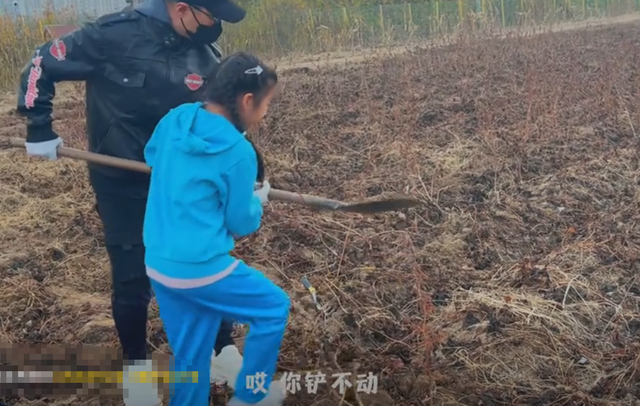 汪峰不装了！森林北生病，他却带着女儿地里挖白菜，章子怡躺赢了