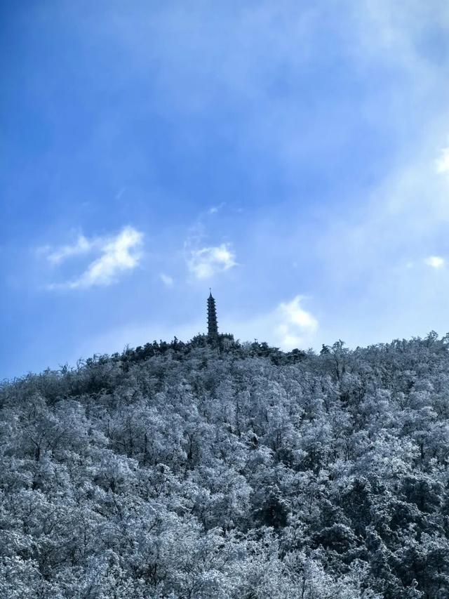 接下来的潍坊，你期待了吗？