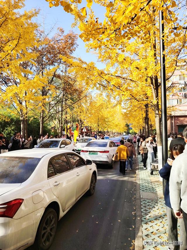 商旅漫笔（11）：恰好那个时候，我在三塔公园穷游