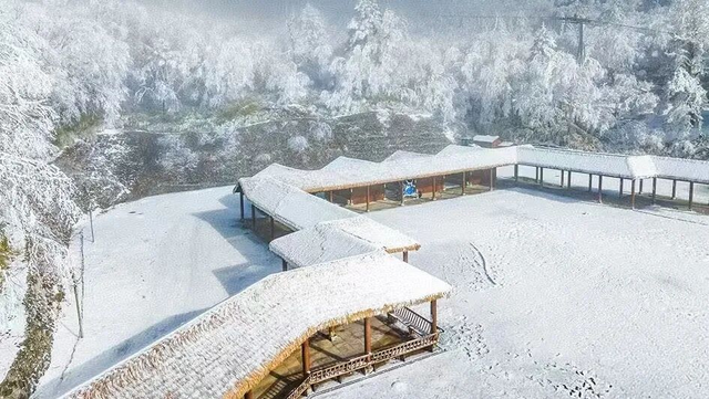 在雅安！！这么美的雪景我当然狠狠宣传啊啊啊！！