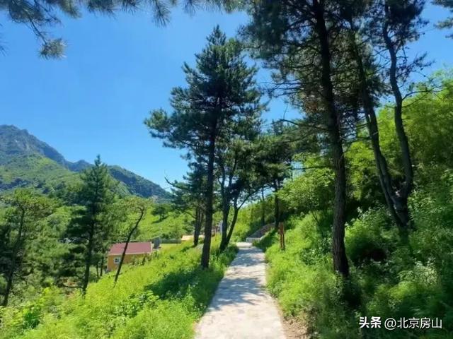 诚邀您共赴一场焕活身心的“森”呼吸之旅！