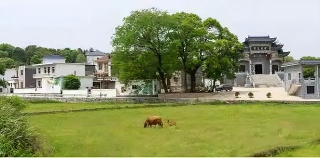 九江这几个有山有水的村子，氛围感拉满！