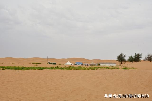 海边游记｜沙海狂飙与绿洲寻踪：内蒙古腾格里沙漠一日“历险记”