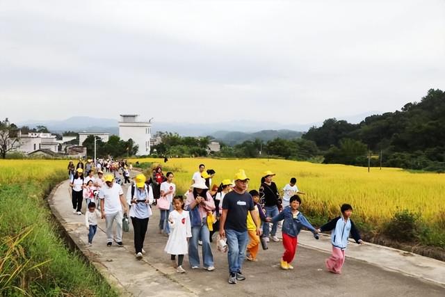 百鸡宴、音乐会、梯田徒步……这周末，肇庆这里超好玩