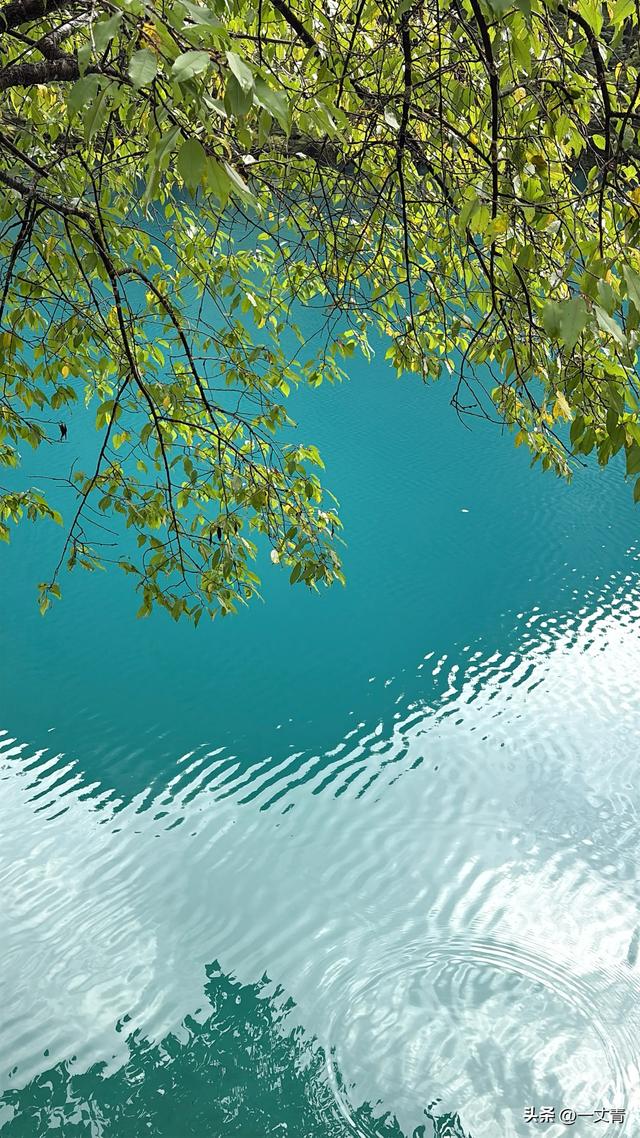 在九寨沟旅游，花300元请了个野生导游，结果却一言难尽