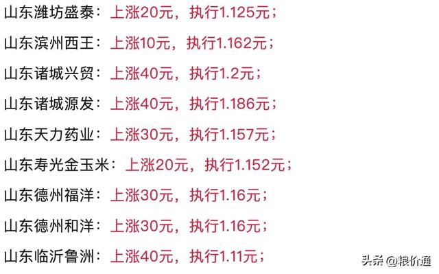 明天10月8日玉米“一夜翻红”！玉米新粮开秤集体涨价马上到来？