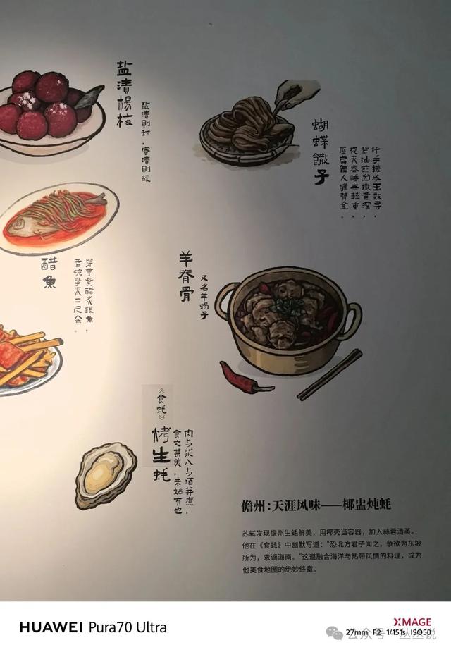 郑州人速来！苏东坡大型主题展逛展攻略来啦