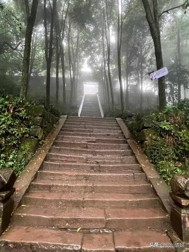 青城山，来过了，说几句