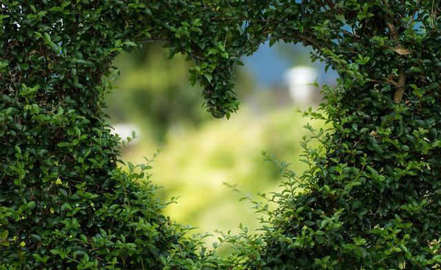 超准！最近有件大喜事等着你