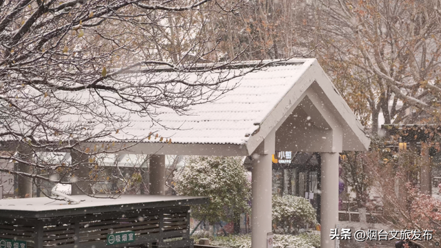 【乐游烟台】烟台这家景区太宠了！免费进、免费喝、免费玩