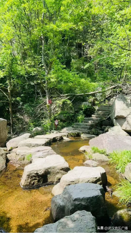 红色热土，梦想绽放！11月8日锁定大悟，见证短剧新星诞生！