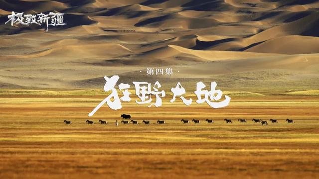 央视又放大招！于极致之间，看见新疆的无限可能