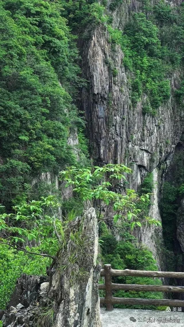 温州高山峡谷隐藏的小众秘境,驴友的瀑降宝藏地!雨后风光绝佳!