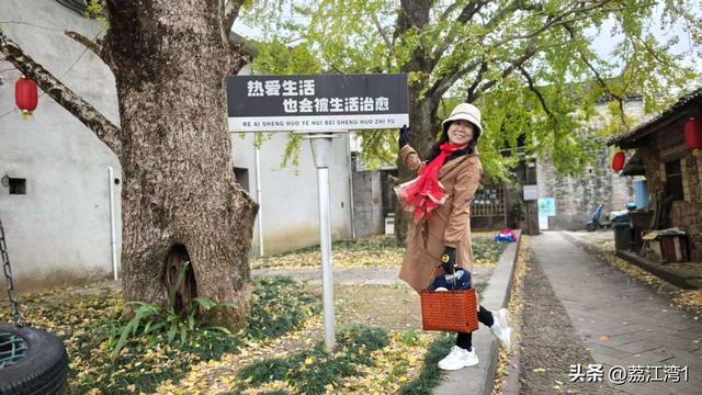 游长岗岭古村，观飘黄银杏