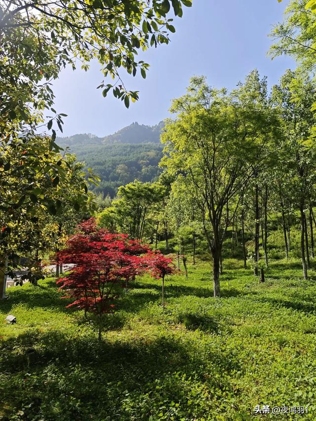 理小路环线今日风景！