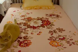 被年轻人的"旧床单改造"惊到了！换个思路后，废物也有大用处图片