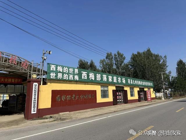 冠县乡韵·兰沃乡大柳邵村