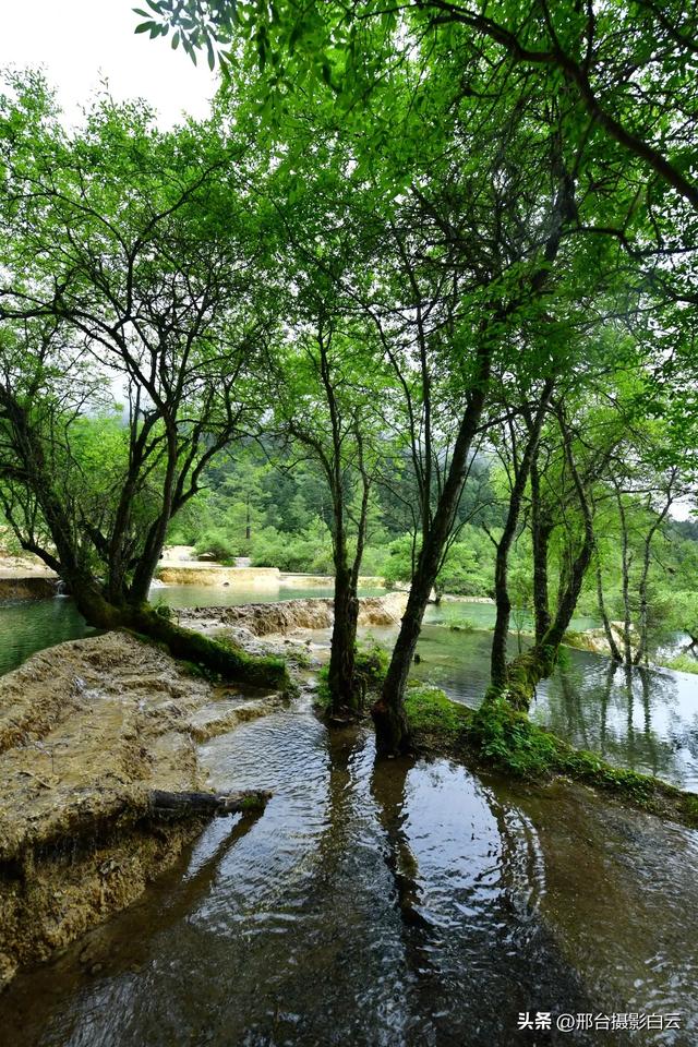人间瑶池，醉美黄龙（图）