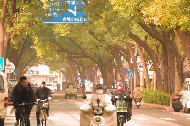 古城路的秋，是石景山人最熟悉的烟火诗