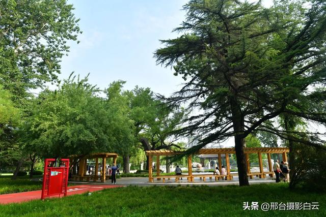 立秋之约：达活泉公园的诗意画卷（图）