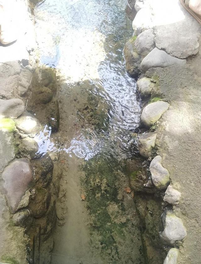 游新疆吐鲁番的坎儿井和葡萄沟