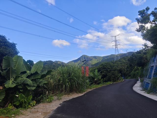 西丽湖绿道，慢慢骑慢慢地欣赏。