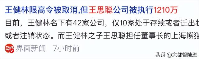王健林父子为何连续爆出欠债问题