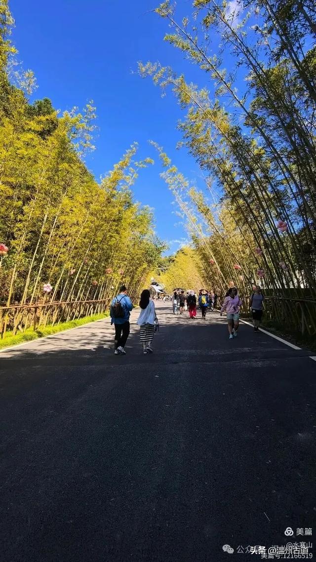这处江南水乡与自然山水完美结合的景点你可去过？