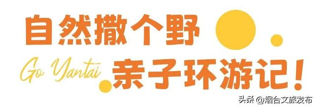 【乐游烟台】新晋遛娃地，烟台这家自然乐园超好玩