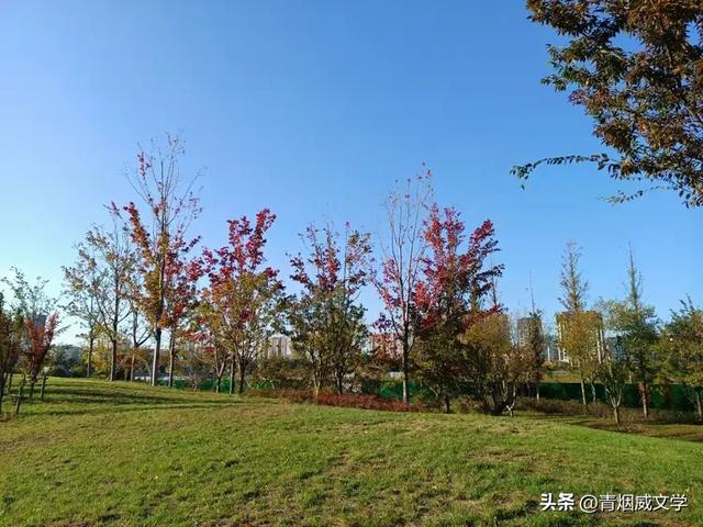 忆甘南自驾游（外三首）