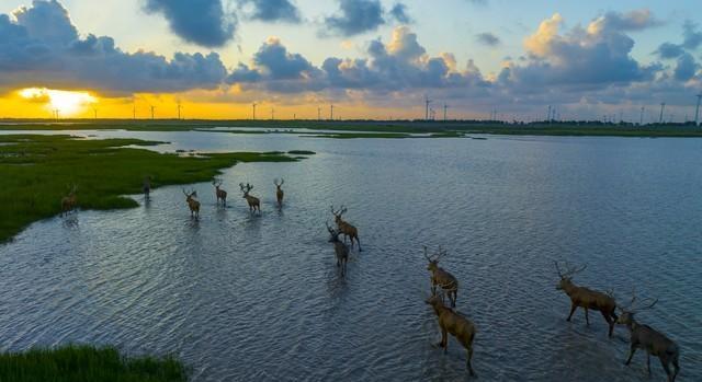 2025温州徐州大连GDP破万亿，2027沈阳厦门	、绍兴、石家庄破万亿